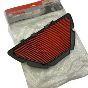 FILTRO AIRE R1