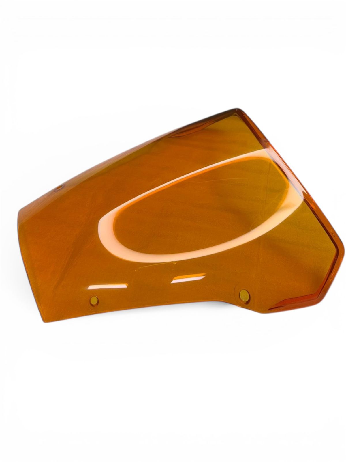 WhatsApp Image 2026-01-26 at 5.57.54 PM (1)