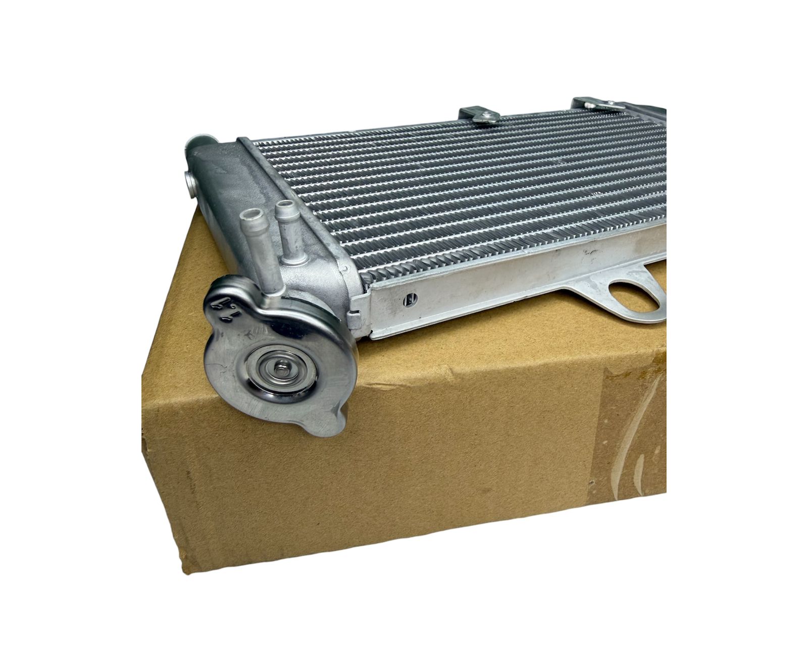 WhatsApp Image 2026-02-26 at 2.47.19 PM